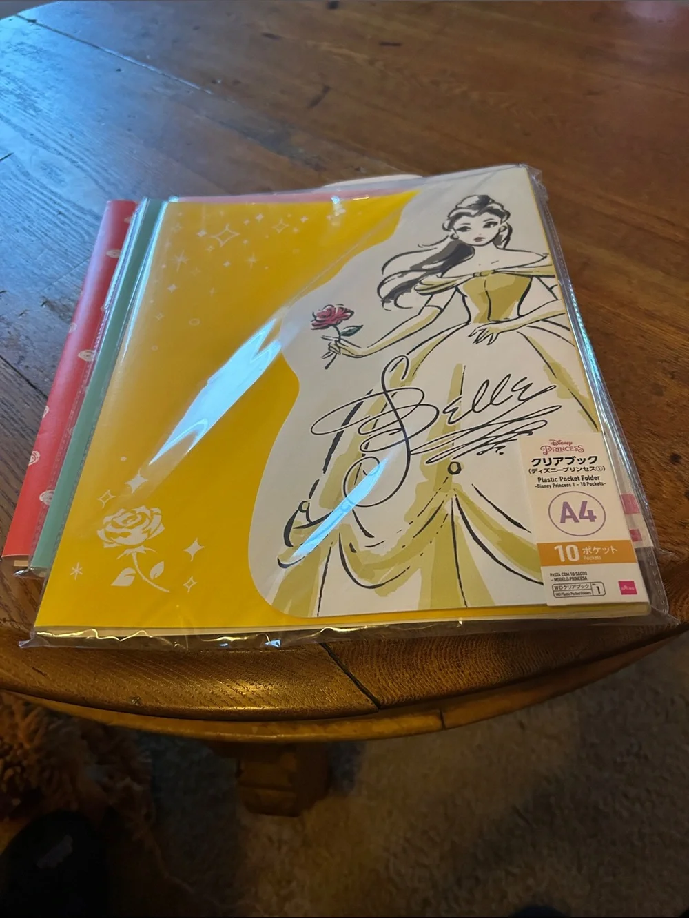 Disney Minnie Mouse & Princesses file folders